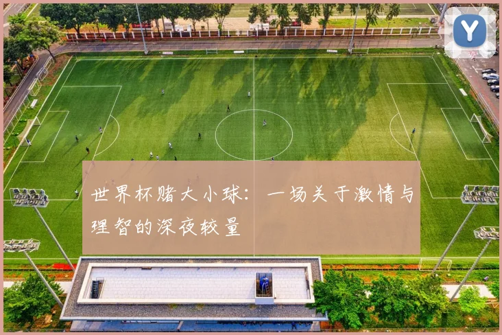 世界杯赌大小球：一场关于激情与理智的深夜较量