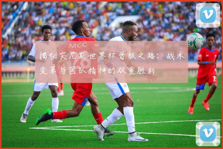 揭秘突尼斯世界杯晋级之路：战术变革与团队精神的双重胜利