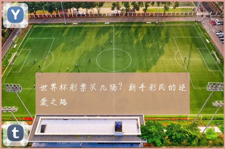 世界杯彩票买几场？新手彩民的逆袭之路