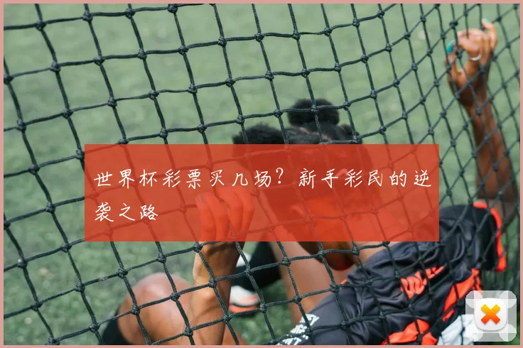 世界杯彩票买几场？新手彩民的逆袭之路