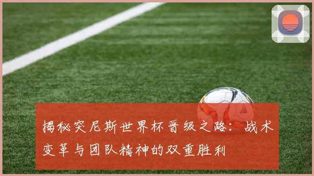 揭秘突尼斯世界杯晋级之路:战术变革与团队精神的双重胜利